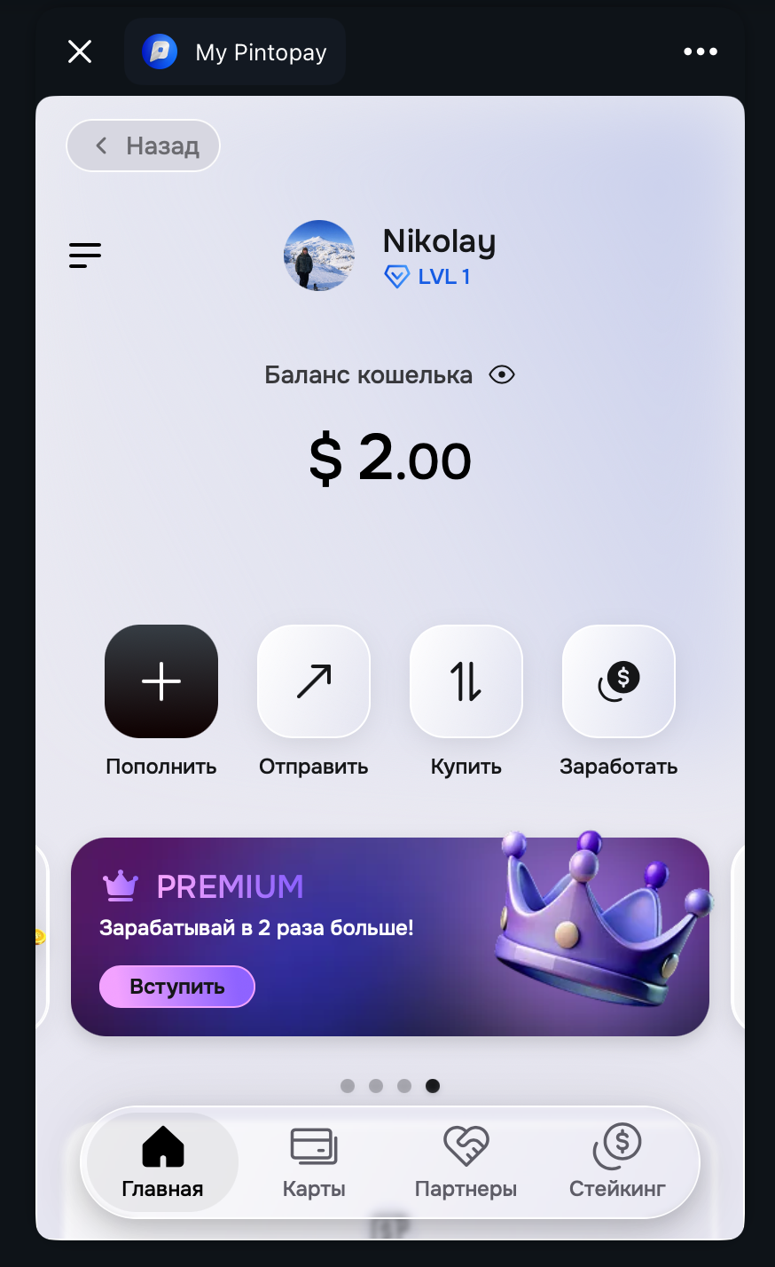 Скриншот миниаппа PintoPay